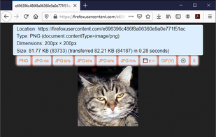 Save webP as PNG or JPEG Extension screenshot 2