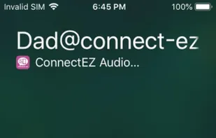 iPhone inbound call.