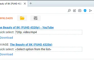 Ant Video Downloader screenshot 1