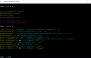 WindowsSpyBlocker screenshot 3