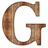 G-Earth icon