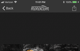 Monokrom screenshot 2
