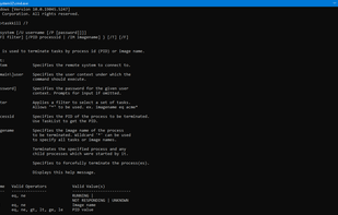 taskkill screenshot 2