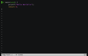 Kilo Text Editor screenshot 1