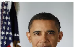 textview screenshot 1