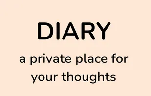 SimpleInnovation Daily Diary screenshot 1