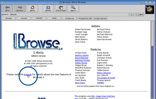 IBrowse screenshot 1