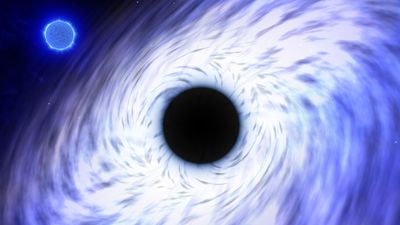 Black holes devouring other stars