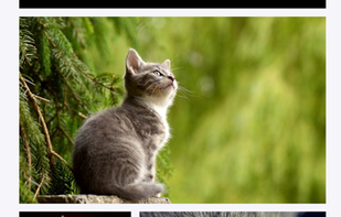 ImageDrain screenshot 3