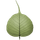 Bodhi Timer icon