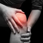 Knee Pain Explained