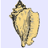 the xonsh shell icon