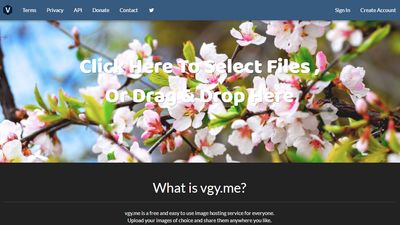 vgy.me's homepage.