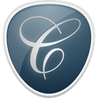 Cyan icon