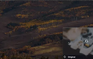 Dragula screenshot 1