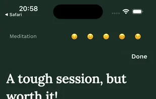 Encrypted, secure meditation journal