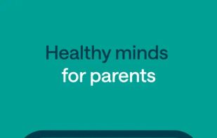 Pareful screenshot 1