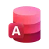 Microsoft Office Access icon