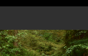 Overlay Tap - Tap on the screen to switch the images being shown