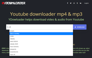 Ydownloader screenshot 1