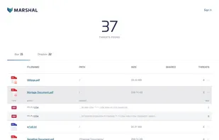 Within minutes, Marshal returns a sanitized, redacted threat report so you can take action.