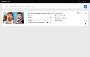 TubeFetcher - Main Interface