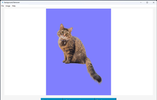 Custom background color