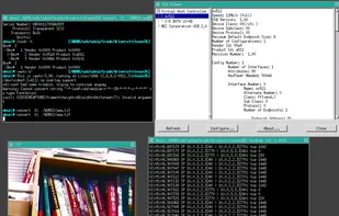 xawtv is working for a remote USB webcam. A remote USB-HDD is also attached to the computer.