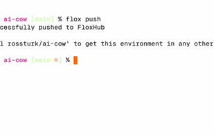 Flox.dev screenshot 2