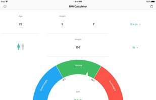 BMI Calculator by Steffen Mayer screenshot 3