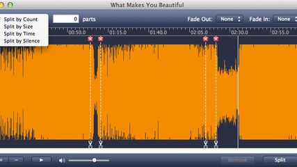 Apple Mac Soft MP3 Splitter for Mac screenshot 2