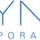 Ayna icon