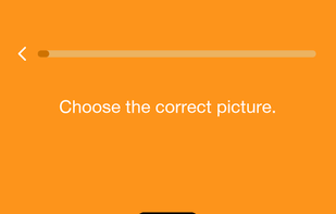 Practice listening skills by matching words to pictures.