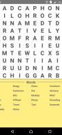 Word Search Puzzle 2016 screenshot 2
