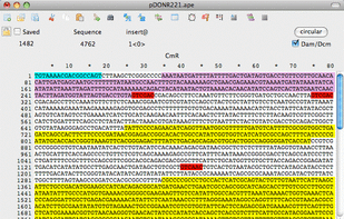 Highlights and draws graphic maps using feature annotations from genbank and embl files