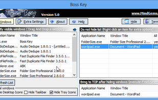 Anti Boss Key screenshot 1