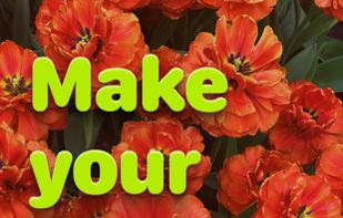 LUT Rolls screenshot 2