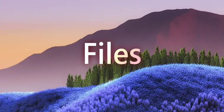 Files 3.7.11 update brings bulk file renaming, improved dialogs, and several bug fixes image