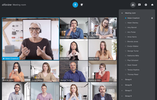 alfaview screenshot 2