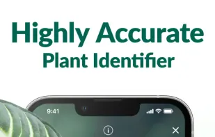 Plantum screenshot 1