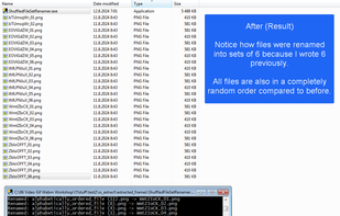 Shuffled File Set Renamer screenshot 2