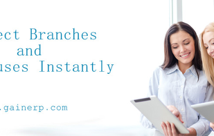 Gain ERP screenshot 1