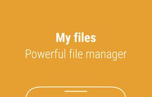 Samsung My Files screenshot 1