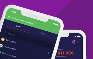 BrickWallet screenshot 1