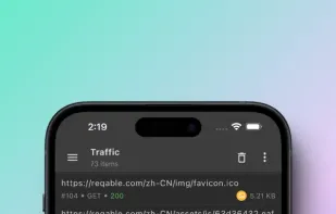 Reqable screenshot 1