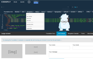 Codeply screenshot 1
