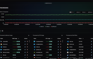 Processes Monitoring
The Processes feature allows you to monitor and compare resource usage of processes