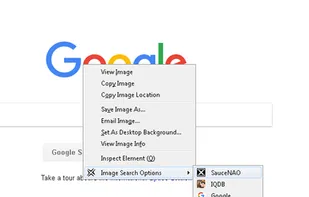 Image Search Options screenshot 1