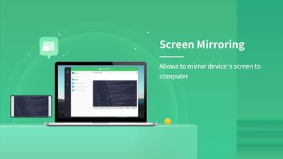 Screen mirror