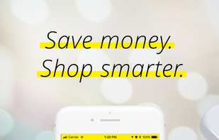 Krazy Coupon Lady screenshot 1